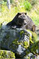 AlaskaTrip127