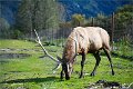 AlaskaTrip136
