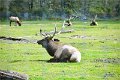 AlaskaTrip137