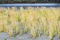 AlaskaTrip139