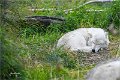 AlaskaTrip144
