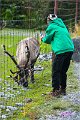 AlaskaTrip145