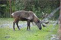 AlaskaTrip146
