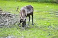 AlaskaTrip147