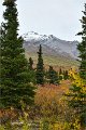 AlaskaTrip153