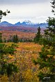 AlaskaTrip154