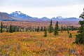 AlaskaTrip155