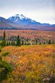 AlaskaTrip158