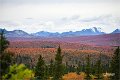 AlaskaTrip165