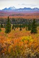 AlaskaTrip166