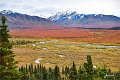 AlaskaTrip170