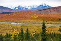 AlaskaTrip171