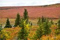 AlaskaTrip172