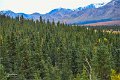 AlaskaTrip175