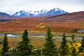 AlaskaTrip176