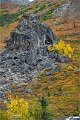 AlaskaTrip177