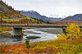 AlaskaTrip178