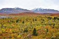 AlaskaTrip181