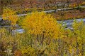AlaskaTrip184