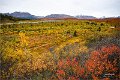AlaskaTrip185