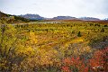 AlaskaTrip186