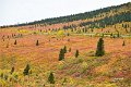 AlaskaTrip192