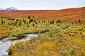 AlaskaTrip193