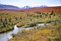 AlaskaTrip195