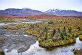 AlaskaTrip196