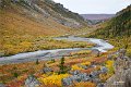 AlaskaTrip204