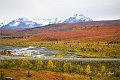 AlaskaTrip206