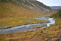 AlaskaTrip208