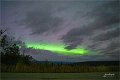 AlaskaTrip266