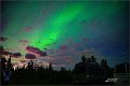 AlaskaTrip267