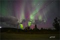 AlaskaTrip272