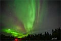 AlaskaTrip278