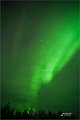 AlaskaTrip321