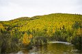 AlaskaTrip333