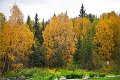 AlaskaTrip355