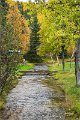 AlaskaTrip363