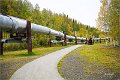 AlaskaTrip374