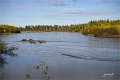 AlaskaTrip393