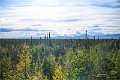 AlaskaTrip395