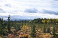 AlaskaTrip403