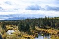 AlaskaTrip404
