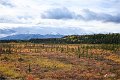 AlaskaTrip405