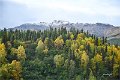 AlaskaTrip411