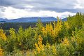 AlaskaTrip419