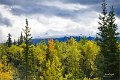 AlaskaTrip427