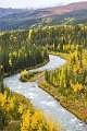AlaskaTrip438
